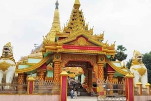 Excursão privada ao pagode global com excursão às cavernas budistas Kanheri