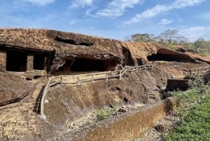 Sanjay Gandhi National Park + Kenheri Caves + Lion Safari