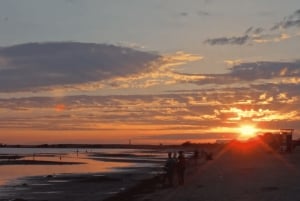 Tour durch Südindien: Verborgene Safranpfade