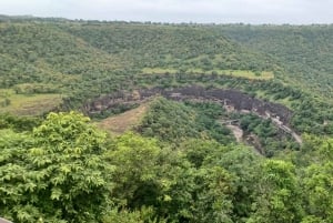 Aurangabad: Ajanta & Ellora Caves Day Tour (No Guide)