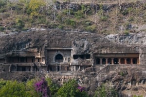 Aurangabad: Ajanta & Ellora Caves Day Tour (No Guide)