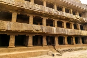 Aurangabad: Ajanta & Ellora Caves Day Tour (No Guide)