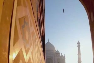 Taj Mahal og Agra Privat tur med gratis henting på flyplassen