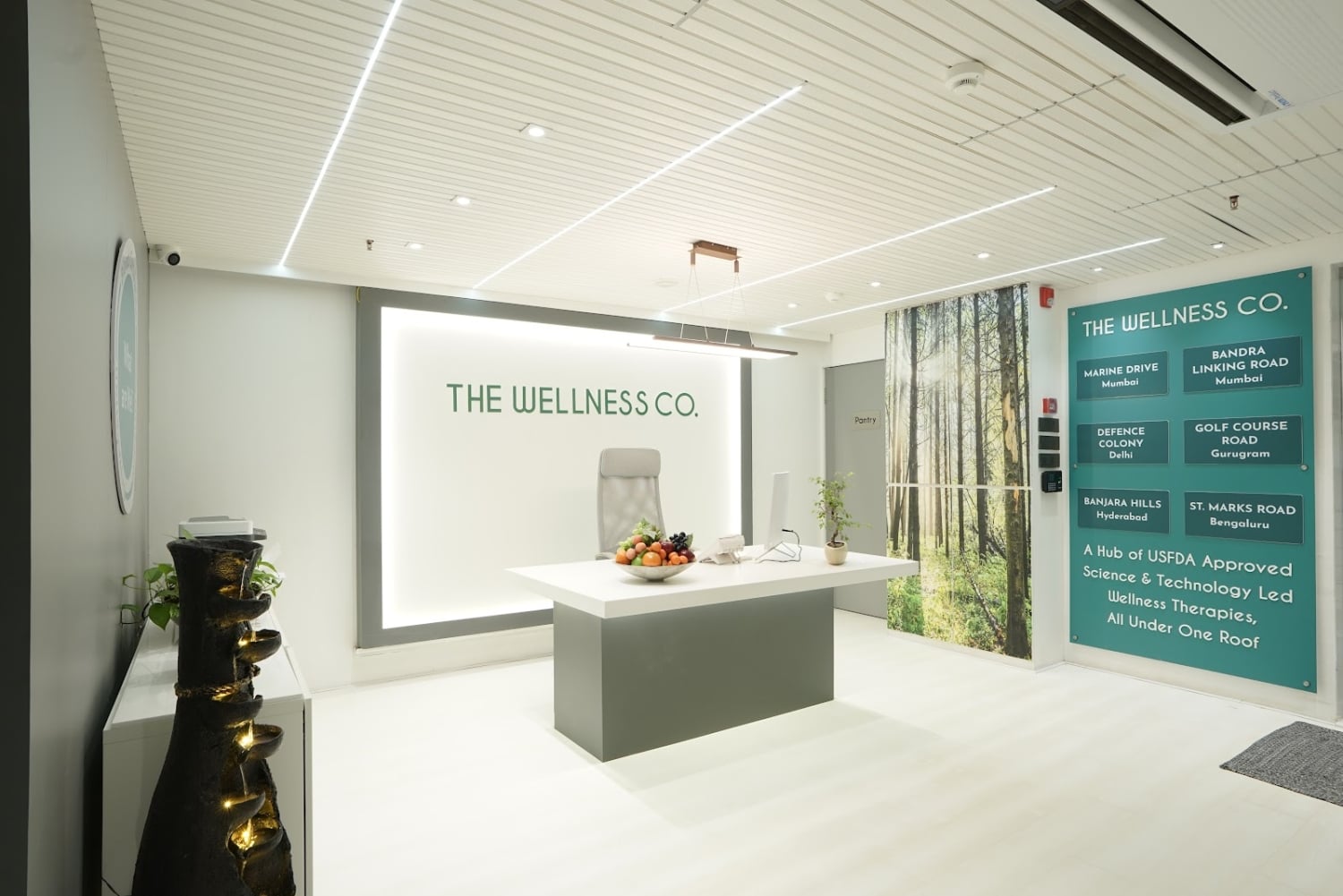 The Wellness Co.