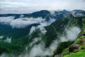 Excursión a cuevas antiguas, miradores y campiña desde Bombay