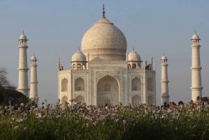 From Mumbai: Private Guided Taj Mahal Trip with Overnight