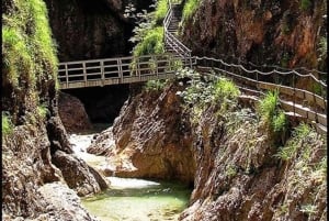 Almbachklamm op de magische Untersberg - dagtocht voor natuurliefhebbers