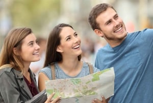 Best of Munich 1-Day Private Tour with Tickets and Transport