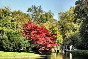 Il meglio di Monaco: tour privato