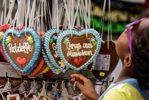 CityTourCard Munich : Montagnes et lacs avec les transports publics