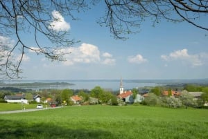 From Munich: Custom Private Tour with Vehicle and Guide