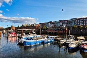 Dusseldorf : Amsterdam. Private Day Trip