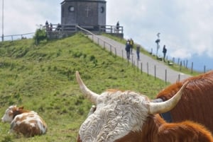 Enkel fjelltur på Wallberg nær Tegernsee: Med Peter med bil og taubane