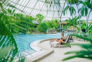 Erding: Therme Erding: 1 päivän trooppinen kylpylälippu Therme Erdingiin.