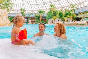 Erding: Therme Erding: 1 päivän trooppinen kylpylälippu Therme Erdingiin.