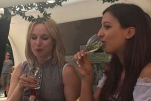 München mit dem Pedicab erkunden: Premium Zwei-Stunden-Tour