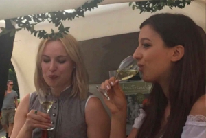 Exploring Munich by Pedicab: Premium Two Hour Tour