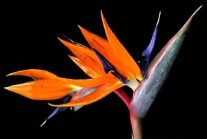 Taller de fotografía en Múnich, 3 horas, teoría y práctica.