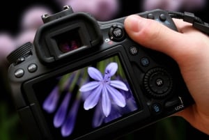 Taller de fotografía en Múnich, 3 horas, teoría y práctica.