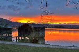 Franz Marc Museum and Sauna Experience