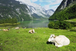 Fra München: Königssee & Obersee-tur med bådtur