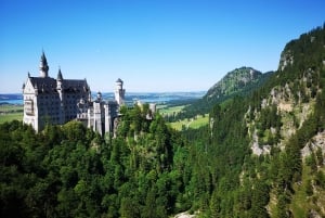 From Munich: Neuschwanstein Castle by bus & Alpine Bike ride