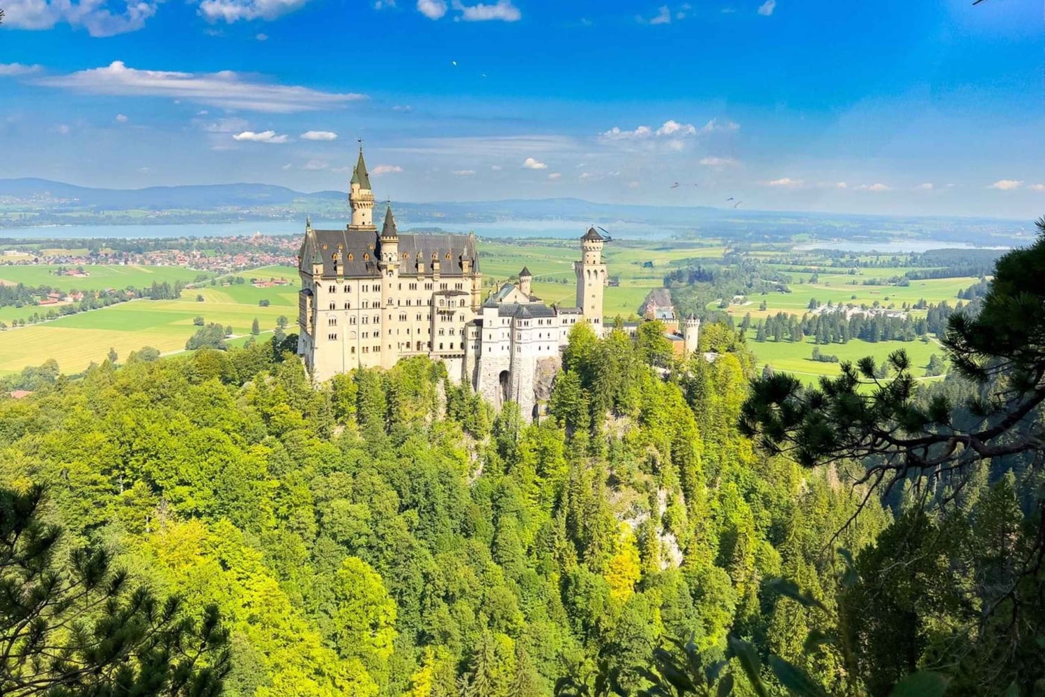 From Munich: Neuschwanstein & Linderhof Castle Day Tour Private 8 Pax