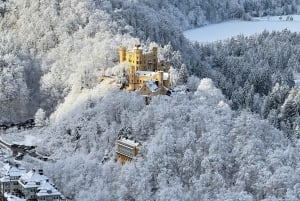 From Munich: Neuschwanstein & Linderhof Castle Day Tour Private 8 Pax