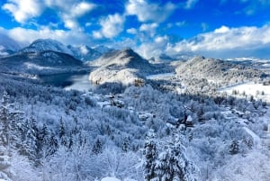 From Munich: Neuschwanstein & Linderhof Castle Day Tour Private 8 Pax