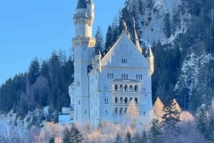 From Munich: Neuschwanstein & Linderhof Castle Day Tour Private 8 Pax