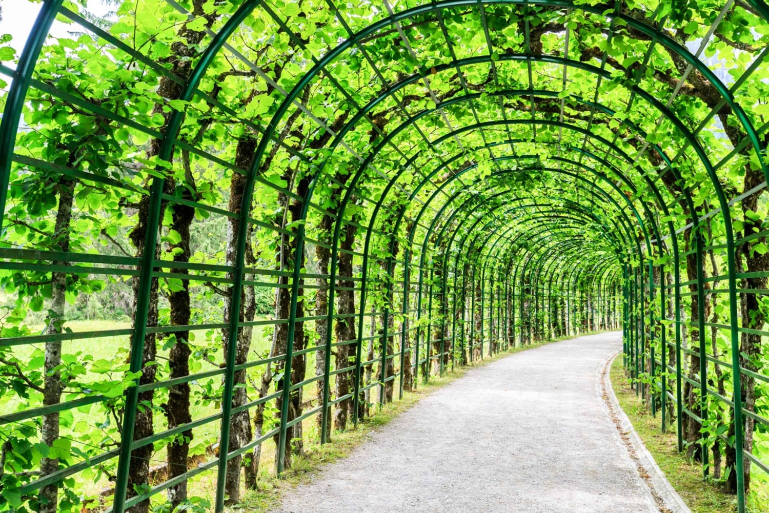 From Munich: Royale Palace of Linderhof with Oberammergau