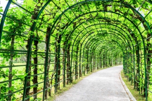 From Munich: Royale Palace of Linderhof with Oberammergau