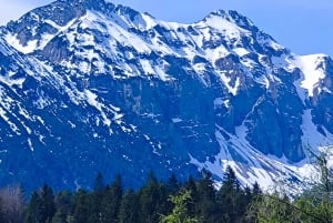 Da Füssen al castello di Neuschwanstein: tour guidato panoramico