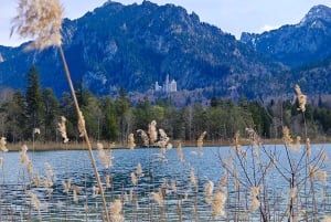 Da Füssen al castello di Neuschwanstein: tour guidato panoramico