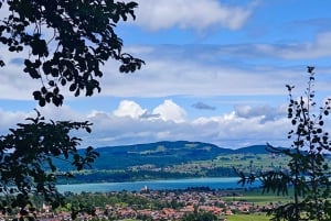 Da Füssen al castello di Neuschwanstein: tour guidato panoramico