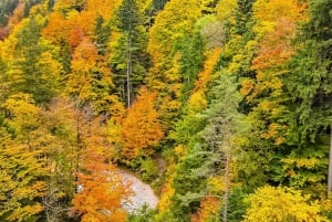 Da Füssen al castello di Neuschwanstein: tour guidato panoramico