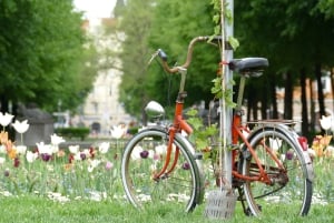 Haidhausen: tour per insider! I segreti del quartiere francese di Monaco.