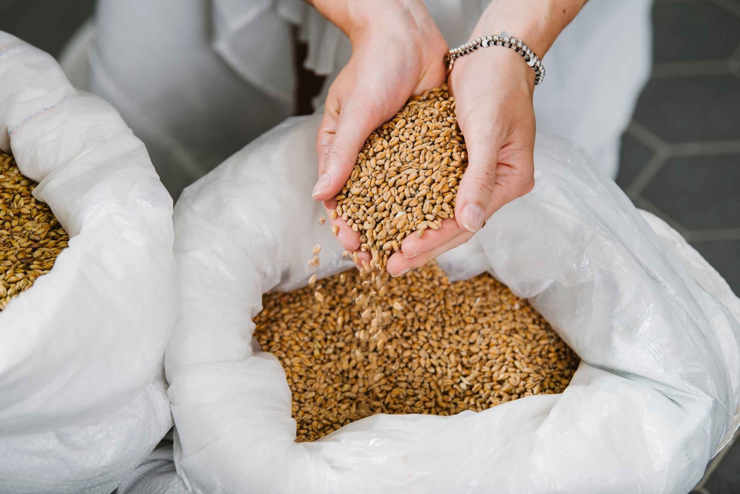 München: Braukurs mit Führung und Verkostung