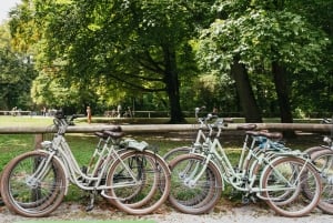 Excursão Guiada de Bicicleta de 3 Horas em Munique