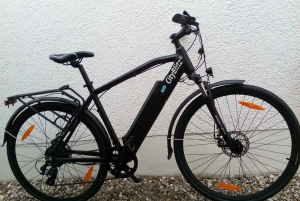 Munich: 4 Hour City Sightseeing Guided E-Bike Tour