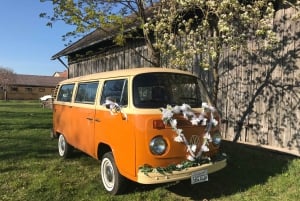 Munique: Visita a Bulli