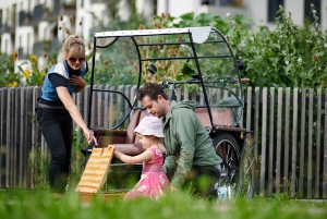 Munich: Day-rent rickshaw and explore Munich yourself