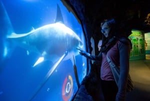 Monaco di Baviera: Biglietto giornaliero per il Sea Life