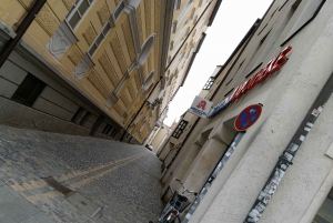 Munich: Day Trip to Regensburg with Artist Paul Riedel
