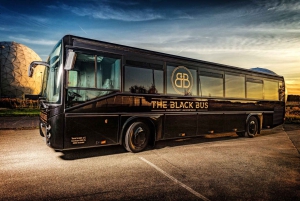 Monachium: ekskluzywny partybus do Tegernsee z DJ-em i drinkami