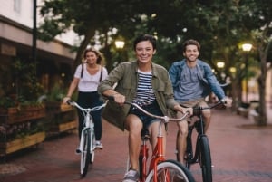 München: Kohokohdat Yksityinen pyöräretki lisensoidun oppaan kanssa