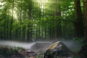 Múnich: excursión de 1 día al Königssee con paseo en barco y guía en chino