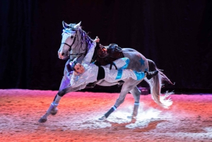 Munich: Lumagica Light Park at Cavalluna Entry Ticket