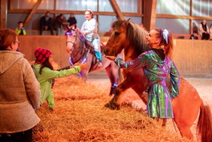 Munich: Lumagica Light Park at Cavalluna Entry Ticket