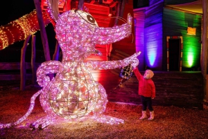 Munich: Lumagica Light Park at Cavalluna Entry Ticket